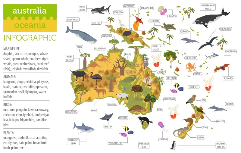 Biljne i životinjske vrste u Australiji